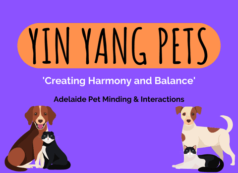 Yin Yang Pets (1)